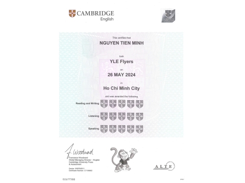 Nguyễn Tiến Minh _ Flyers