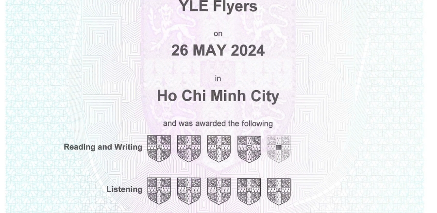 Nguyễn Hoàng Lân _ Flyers