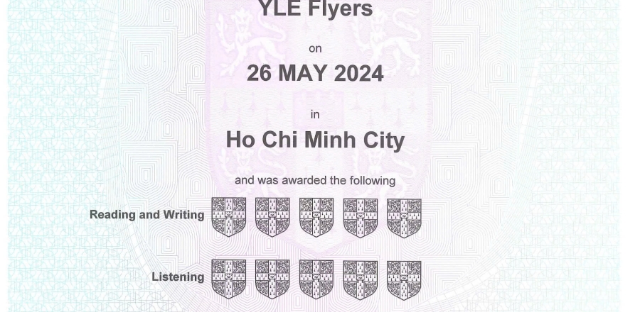 Nguyễn Tiến Minh _ Flyers